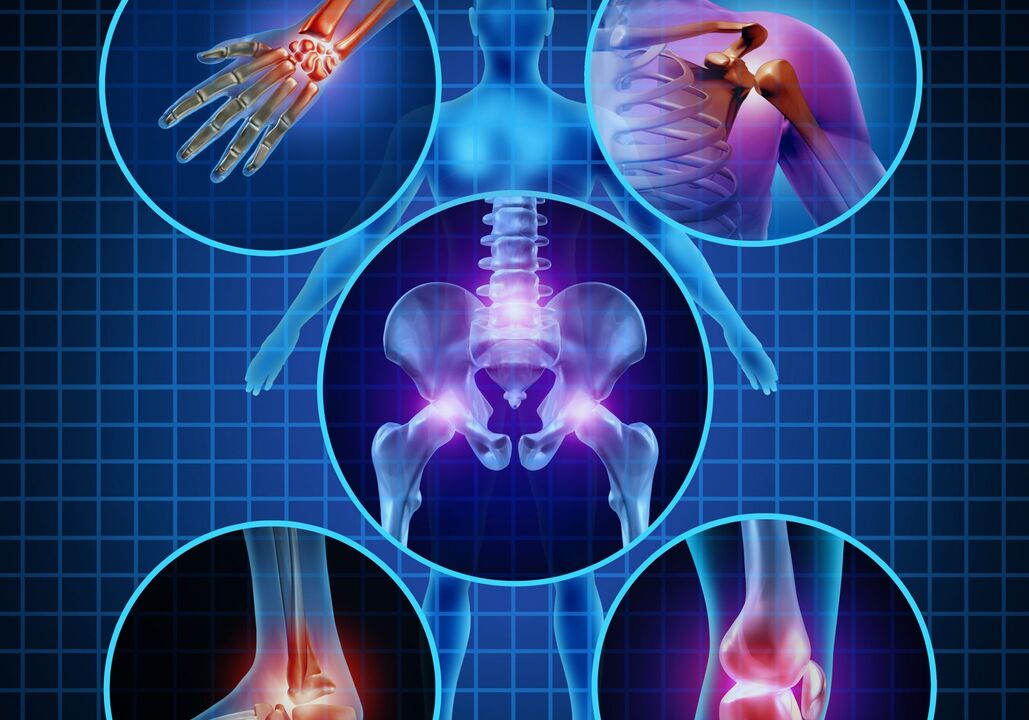 articulations qui peuvent être affectées par l'arthrose